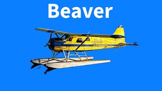 De Havilland DHC2 Beaver [upl. by Laval242]