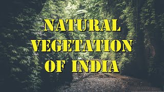 Natural Vegetation of India [upl. by Oiziruam99]