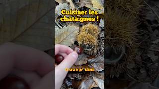 Cuisiner les châtaignes recette  châtaigne recette forêt [upl. by Delp]