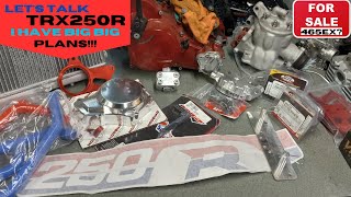 Building a Trx250R I Have Big Plans Lets Talk honda trx 250r [upl. by Nevarc]