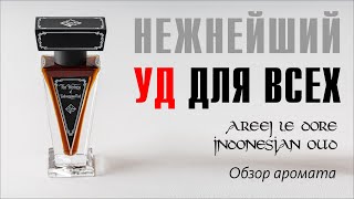 НАТУРАЛЬНЫЙ УД КОТОРЫЙ ВЫ ПОЛЮБИТЕ AREEJ LE DORE INDONESIAN OUD [upl. by Arten]