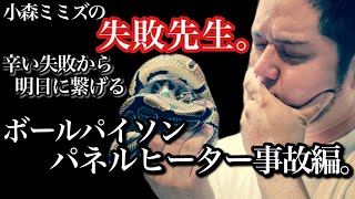 【失敗先生】生体が何故死んでしまったのかをプロが紐解き、回避する。今後の飼育ミスを防ぐ為の動画。 [upl. by Clarissa]