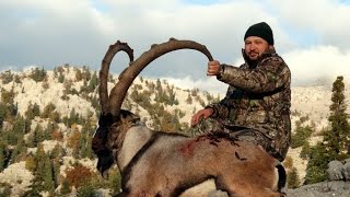 HUNT BEZOAR IBEX in TURKEY MUSTAFA AVCI amp RECEP ECER [upl. by Sahpec38]