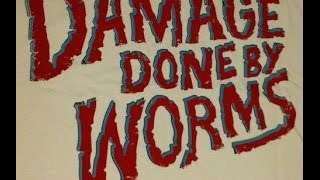 Damage Done By Worms  Take Me Away [upl. by Hotze]