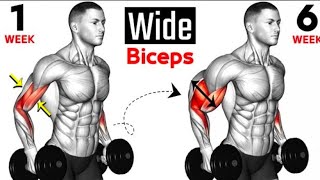 Best Exercises Bicep  Full Bicep Curls  Short Heat  Long Head  Brachialis 🏠At Home🏠 [upl. by Jehiah543]