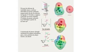 Reações Adição Nucleofílica [upl. by Treve]