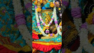 adharam madhuram vrindavan radhavallabh shortsfeed [upl. by Amsirac53]