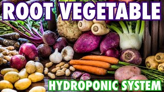 A Hydroponic System for Root Vegetables [upl. by Ccasi683]