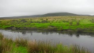 Leprechauns the real hobbits See them in Irland County Mayo [upl. by Ardnalac]