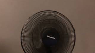 Pelonis Portable fan￼ [upl. by Euqinamod]