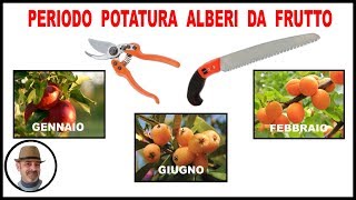 PERIODO DI POTATURA PIANTE DA FRUTTO [upl. by Atenek]