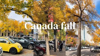 A TYPICAL AUTUMN DAY IN SASKATOON🍂 CANADA with relaxing music for sleep [upl. by Yc]