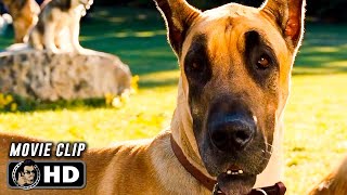 MARMADUKE Clip  quotHomequot 2010 Owen Wilson [upl. by Naejarual366]