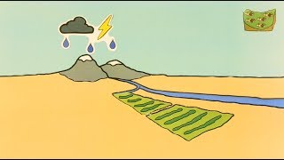 Introduction to Landbased Rainwater Harvesting  RUVIVAL Toolbox [upl. by Noseimaj]