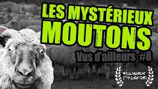 Les Mystérieux MOUTONS Documentaire  Vus dailleurs 8 [upl. by Faythe]