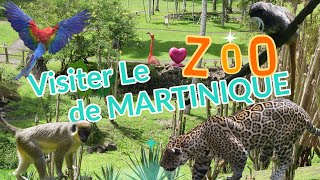 Visite du ZOO de Martinique  Carbet 🦁🌴 [upl. by Yesdnyl]