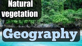 NCERT Class 9 Geography Chapter 5 Natural Vegetation amp Wildlife of India Hindi English [upl. by Illom]