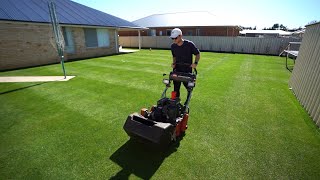 Im Back To Mowing My Lawn At 15mm 059quot Bentgrass Seed Update [upl. by Nurav]