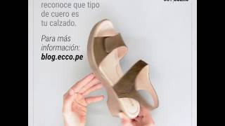 Kit de mantenimiento para Gamuza o Nobuk  Como limpiar zapatos de cuero [upl. by Oelc]