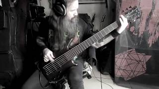 Slipknot  quotMy Plaguequot Bass Cover [upl. by Neenwahs]