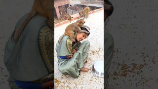 Chulbuli new masti funny video monkeyvideosforkids monkey monki funny cute [upl. by Tristas]