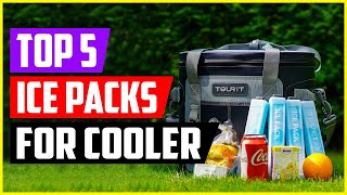 The 5 Best Ice Packs for Cooler of 2022 [upl. by Eittik989]