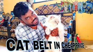 Cat Belt in Cheap price and better quality  Cat Belt  Cat Vlogs [upl. by Hodge]