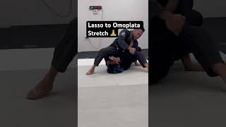 Lasso to Omoplata BJJ Professor Mike Chu [upl. by Yeca845]