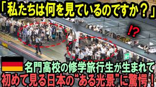 「先生！早く続きを教えてください！」 ドイツ名門高校の修学旅行生がもっと知りたい日本の生活とは？【海外の反応】 [upl. by Nnayram]