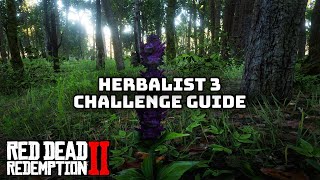 quotCraft 7 items using Sage as an ingredientquot FAST in Red Dead Redemption 2 Herbalist 3 Challenge [upl. by Lawson]