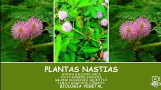 MOVIMIENTO DE LAS PLANTAS NASTIAS [upl. by Ntsuj]