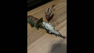 Triceratops and zunicetops vs ankylosaurus and Gastonia fight ￼Dinosaur ￼ [upl. by Eleets944]