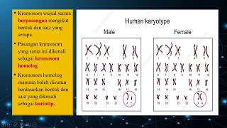 Sains Tingkatan 4 KSSM I BAB 5 I Apakah KromosomGen dan DNA [upl. by Eatnom]