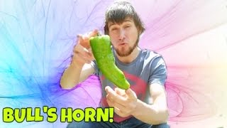 THE BULLHORN CHILLI REVIEW [upl. by Adidnere]