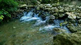 Tranquil River In Lush Forest Waterfall flowing over rocks in forest Nature Sounds in Mountain [upl. by Millhon]