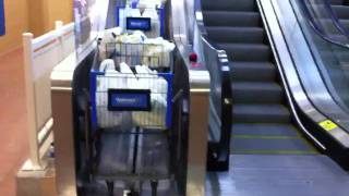 Walmart Shopping Cart Escalator [upl. by Jansson219]