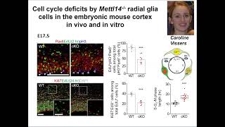 KGRI Lecture Series  Epitranscriptomic regulation of neurogenesis [upl. by Lorrie77]