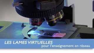 Les lames microscopiques virtuelles pour lenseignement médical en réseau [upl. by Phalan]