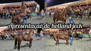 APRESENTAÇÃO DO HOLLAND JECK NO PARQUE MILLANY [upl. by Mroz]