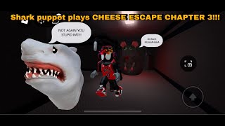 Shark Puppet plays CHEESE ESCAPE CHAPTER 3 [upl. by Hannahoj]