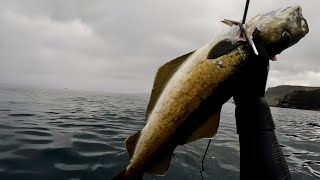 Spearfishing Scotland  Pollock and scallops on the Isle of Skye [upl. by Segroeg]