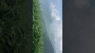 Kaule dada view song foryou travel goviral palpa kauledada shortfeed shorts highaltitude [upl. by Baniez]