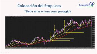 Colocando el Stop Loss Parte 1 de 2 [upl. by Dafodil42]