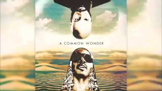 Common amp Stevie Wonder  A Common Wonder  Amerigo Gazaway Full Album [upl. by Dorry]