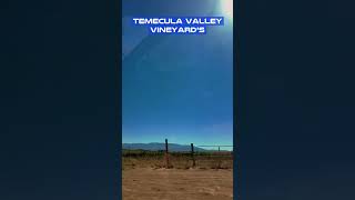 Temecula Valley Vineyards shorts [upl. by Anileme689]