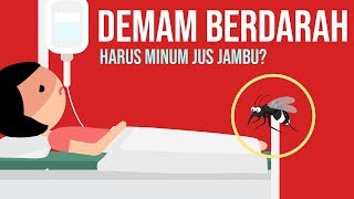 Demam BerdarahHaruskah Minum Jus Jambu [upl. by Annoif]