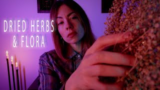 Crisp Flora Sounds  Grasping  Sweeping  Tapping  Energy Work ASMR [upl. by Epolenep]