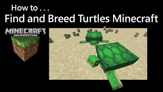 How To Find and Breed Turtles Minecraft Java [upl. by Adlemy743]