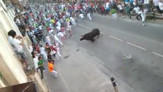 Toro rompe cuerda San Miguel  rincón de soto [upl. by Pelson]