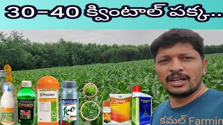 మొక్కజొన్న లో కత్తెర పురుగు నివారణ3040 క్వింటాల దిగుబడి రావాలి అంటే ఎలాకలుపు నివారణ [upl. by Midas139]